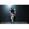 Bahrain Victorious 2026 cycling figurine | Zamak collector